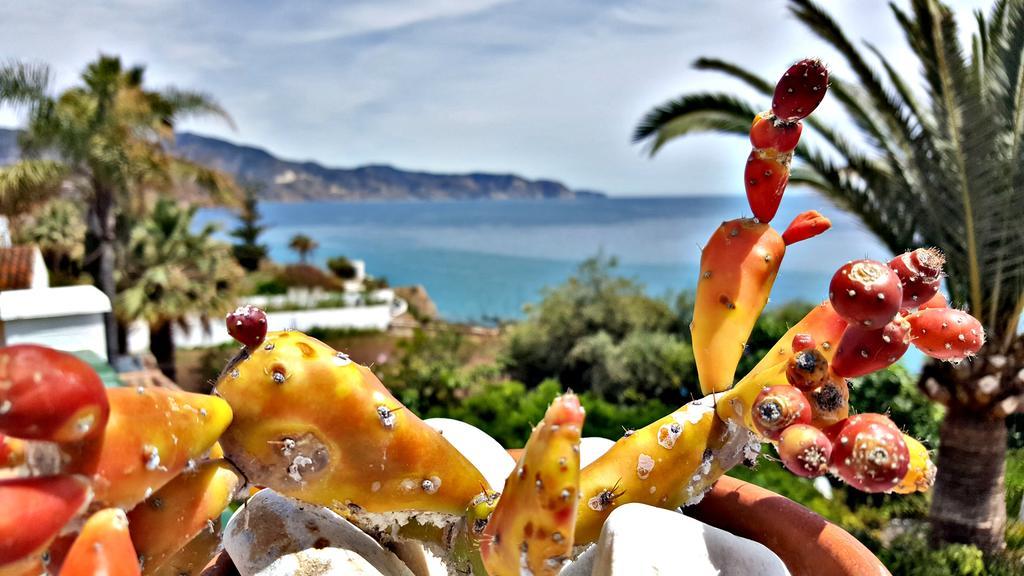 Villa Carabeo 네르하 외부 사진